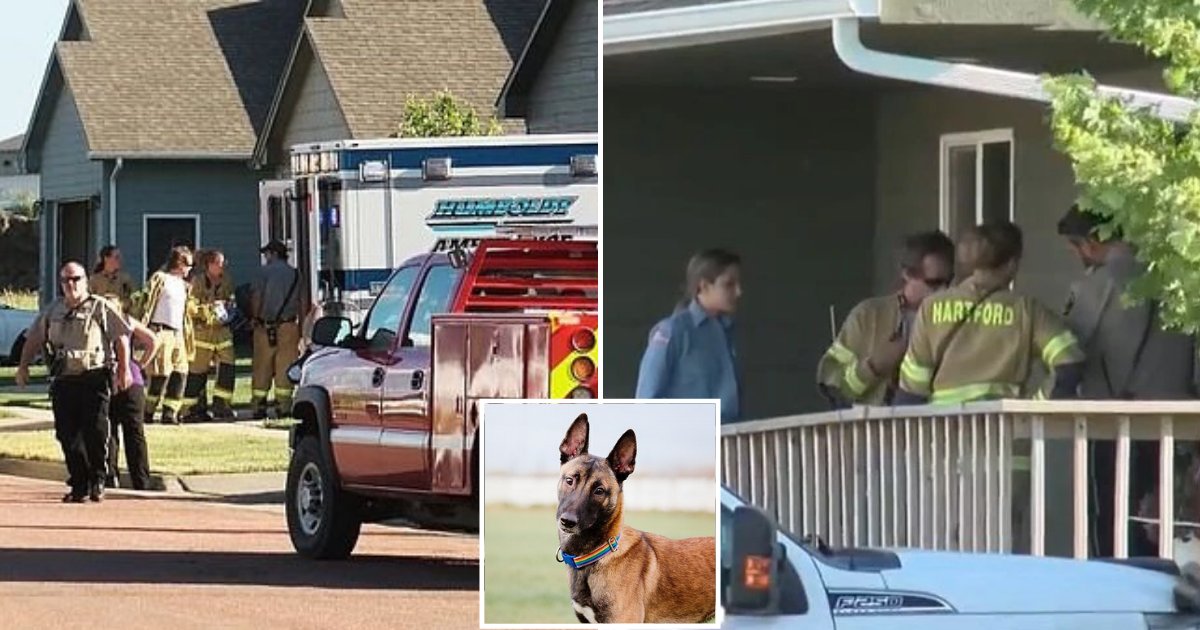 doggy.png?resize=1200,630 - 6-Week-Old Baby Boy Was Attacked By Family Dog In South Dakota