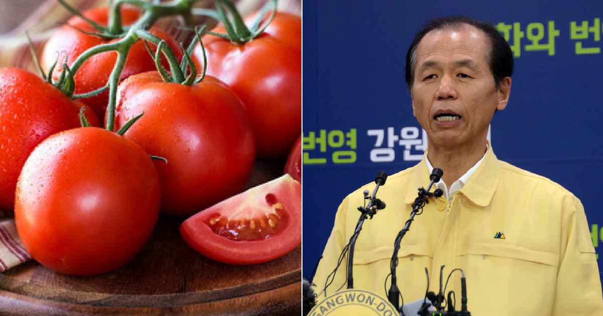 eca09cebaaa9 ec9786ec9d8c 23.png?resize=412,275 - "토마토 4kg 7천원"...감자, 아스파라거스에 이어 토마토 판매에 나선 강원도