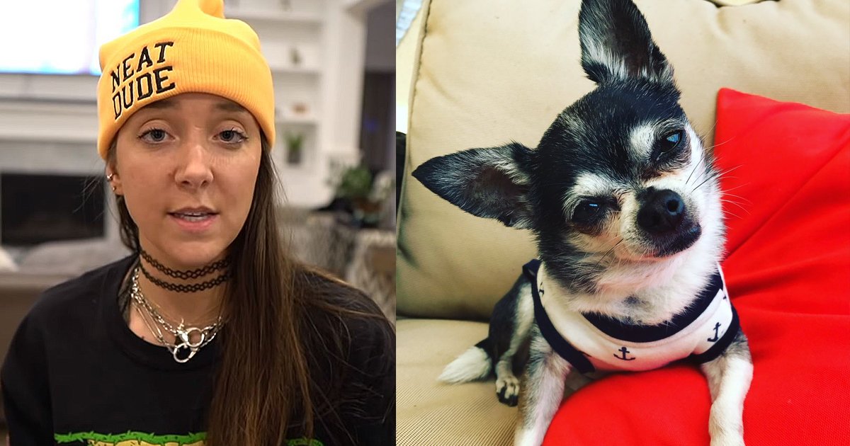 jenna marbles.jpg?resize=1200,630 - Jenna Marbles Dogs You Must See That's Breaking The Internet