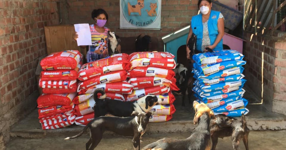 nourriture animaux.png?resize=1200,630 - Une entreprise péruvienne fait don de 15 tonnes de nourriture pour les chiens et chats errants et les refuges pour animaux