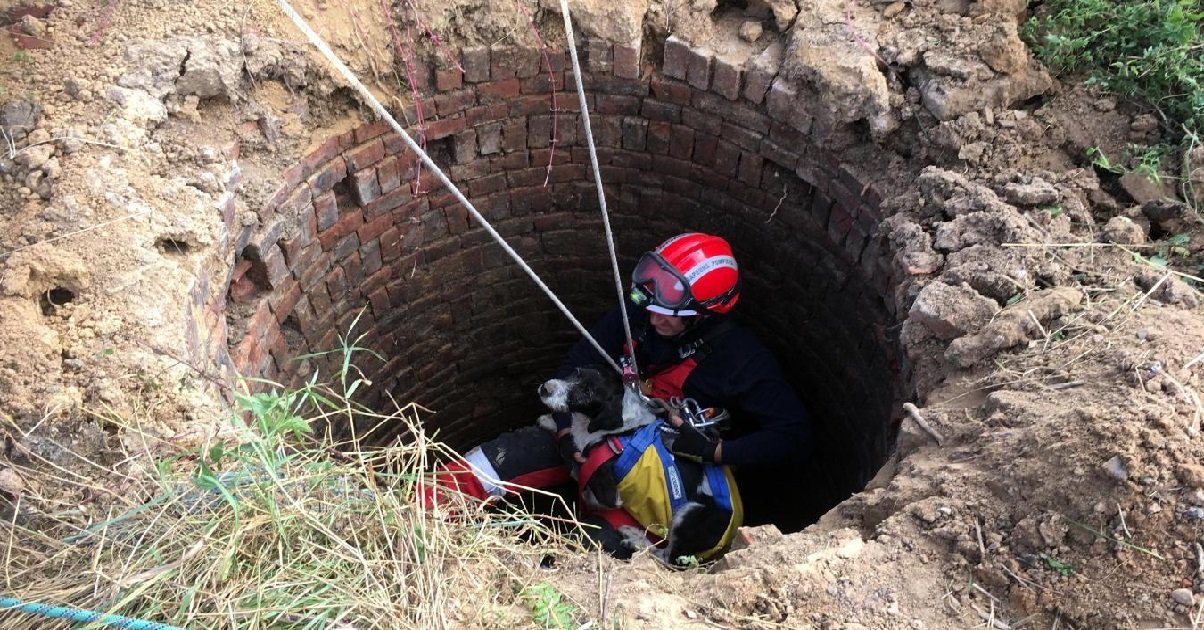 puits.jpg?resize=412,275 - Côtes-d'Armor: un jeune homme est tombé dans un puits caché dans les champs