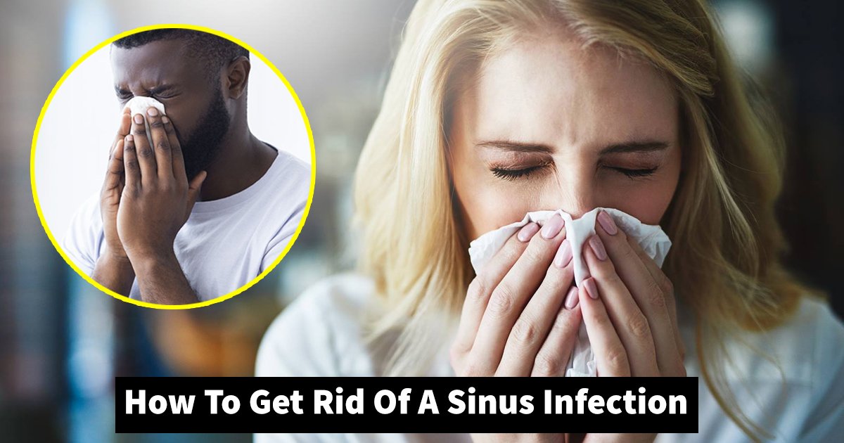 sinus infection.jpg?resize=1200,630 - 6 Leading Symptoms Of Sinus Infection And How You Can Treat It