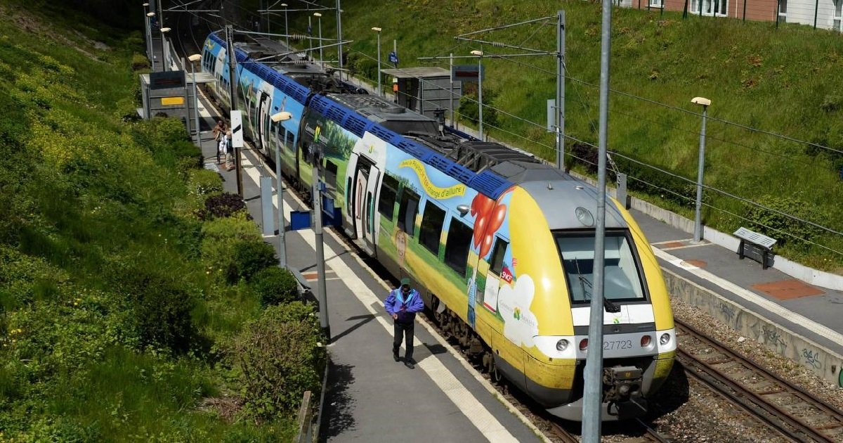 sncf.jpg?resize=412,275 - SNCF: cet été, les jeunes auront accès aux TER en illimité et à petit prix