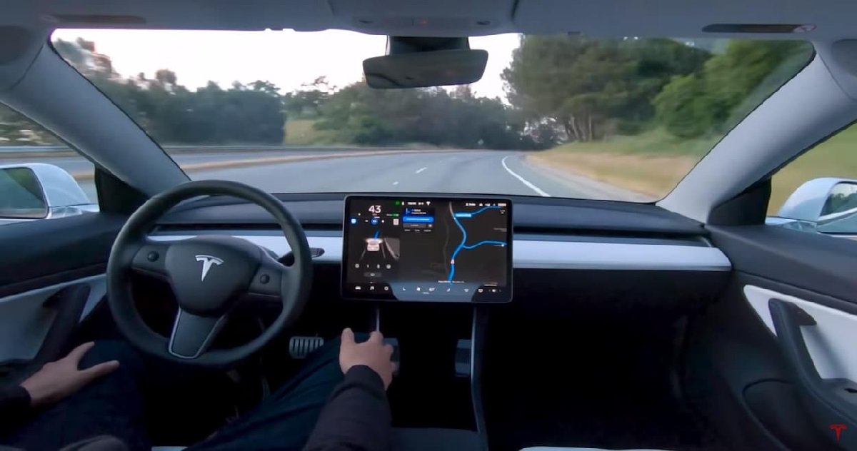 tesla.jpg?resize=412,275 - Grâce à son pilotage semi-automatique, une Tesla a évité de justesse un sanglier