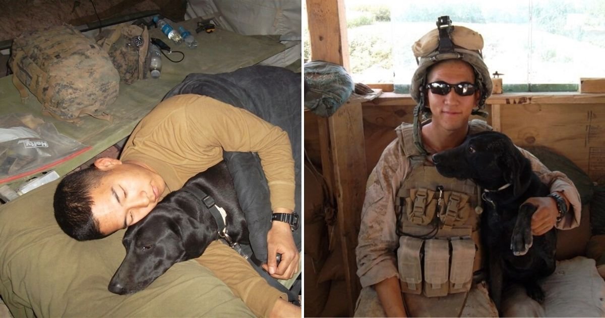 untitled design 3 1.jpg?resize=412,232 - Marine Veteran Adopted Service Dog That Saved His Life Countless Times