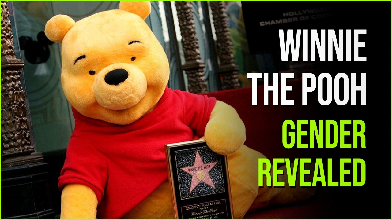 winnie the pooh.jpg?resize=412,275 - What Gender Is Winnie The Pooh- Shocking Answer Revealed