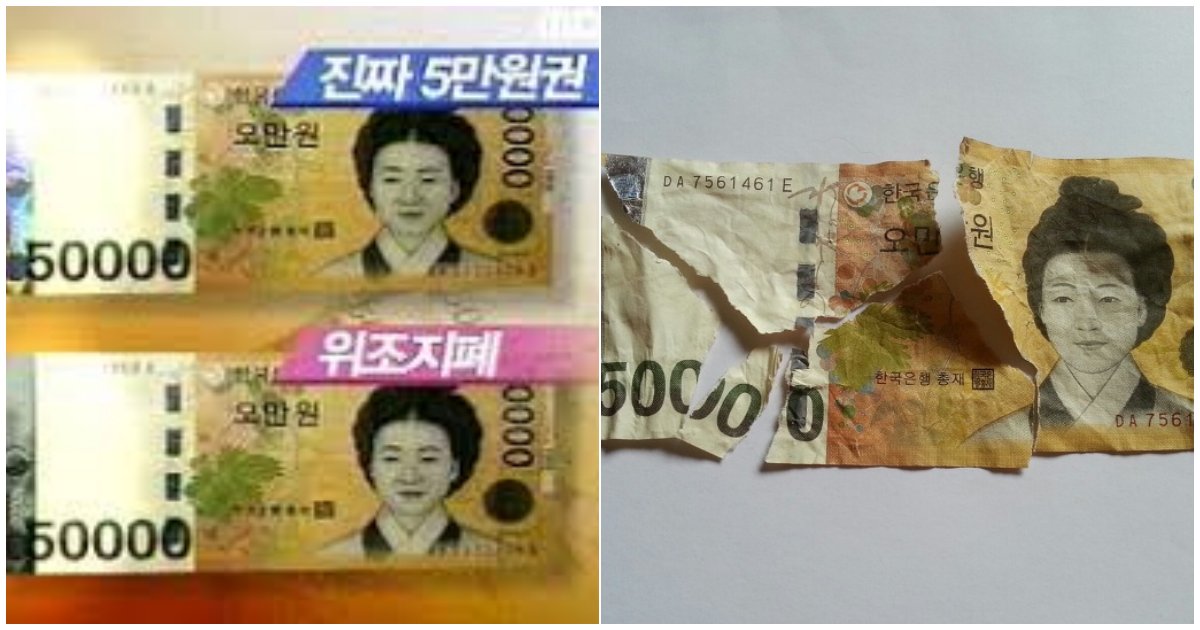 1 9.png?fit=1024%2C538&ssl=1&strip=all - 5만원 지폐 조각조각 찢어 '수백만원' 만들어...알고 저지른 "위조지폐범"