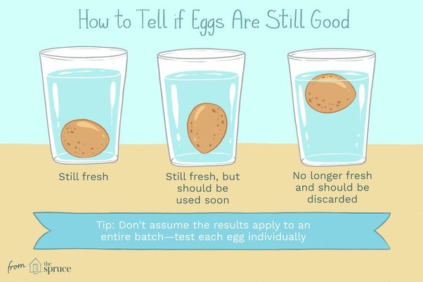 tips on how to tell if an egg is still good