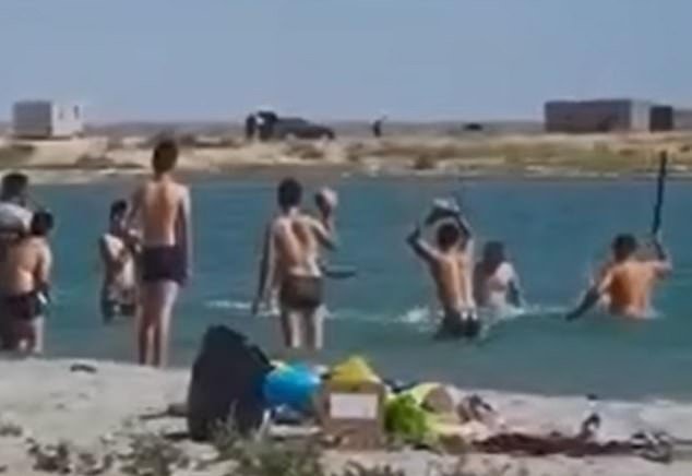 A group of men raise stones and sticks above their heads as they prepare to unleash an attack on the seal