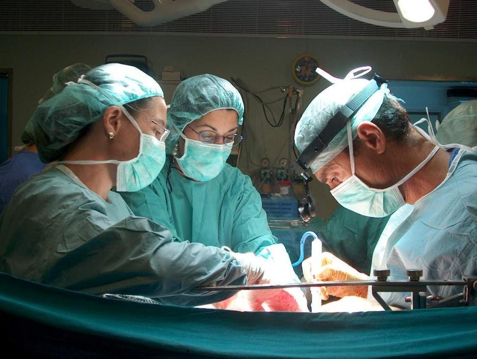 El hospital Reina Sofía efectuó 21 trasplantes de órganos en enero ...