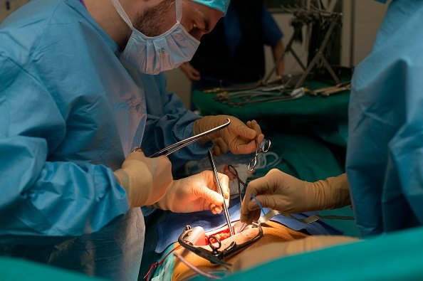 Médicos en EU logran trasplante de riñón entre pacientes vivos con ...