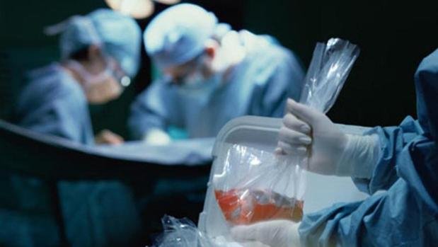 España se prepara para realizar el primer trasplante renal cruzado ...