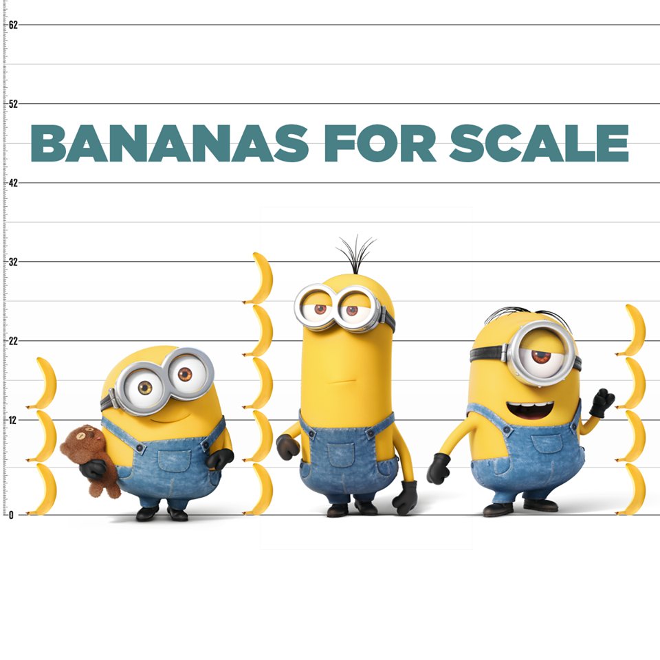 Minion height