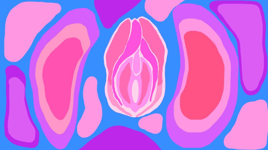 vagina vulva facts