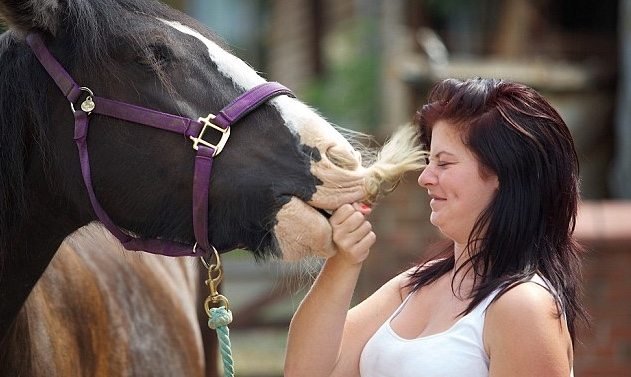 horses with mustaches