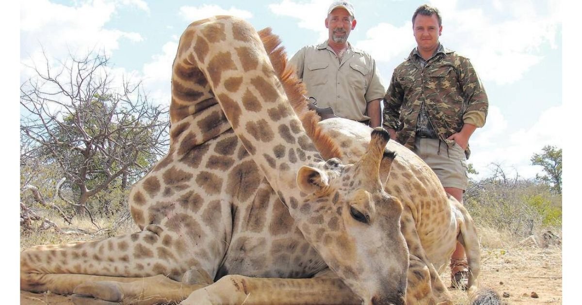 6 15.jpg?resize=412,232 - Hunter Who Poses With Animals He Killed Was Given a Conservation Job In Australia