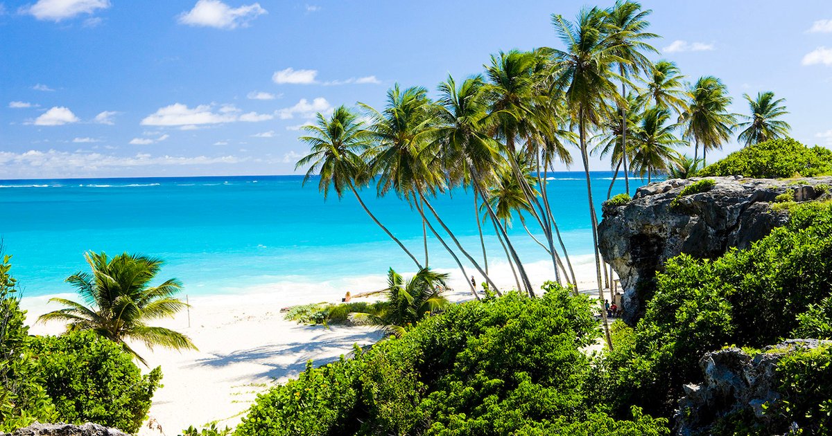 barbade.png?resize=1200,630 - L’île de la Barbade cherche à faire revenir les touristes en offrant un visa d’un an aux télétravailleurs