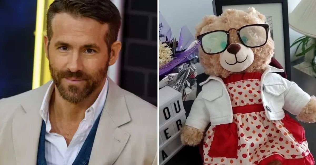 bear5.jpg?resize=412,275 - Deadpool Star Ryan Reynolds Offers Money Reward For Woman's Stolen Teddy Bear