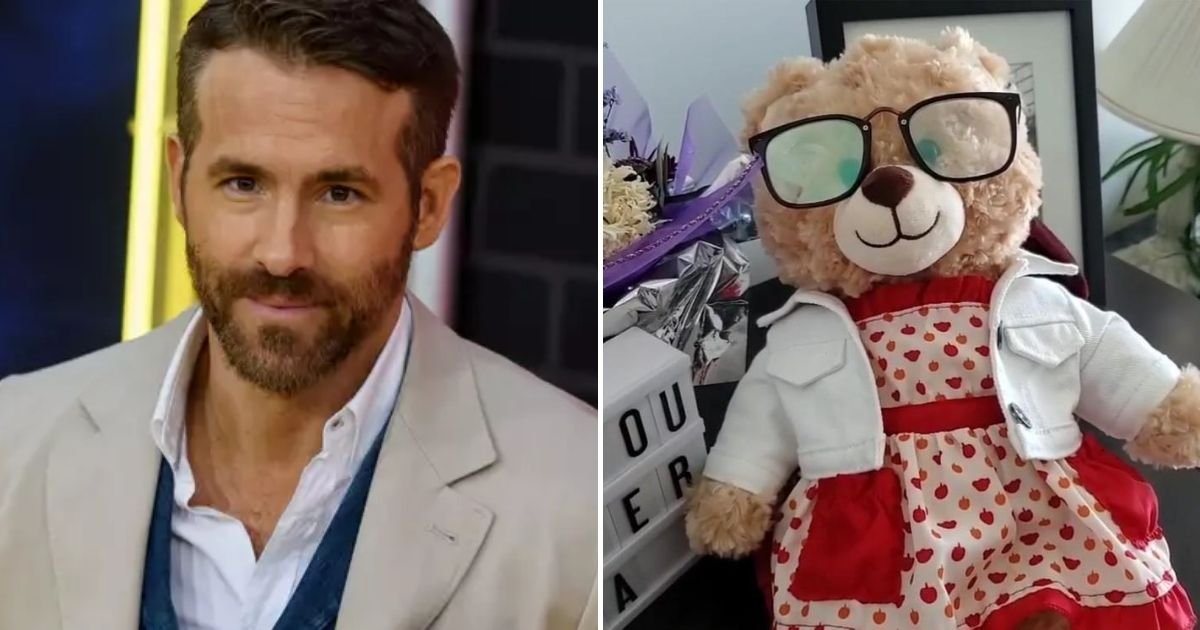 bear5.jpg?resize=412,232 - Deadpool Star Ryan Reynolds Offers Money Reward For Woman's Stolen Teddy Bear