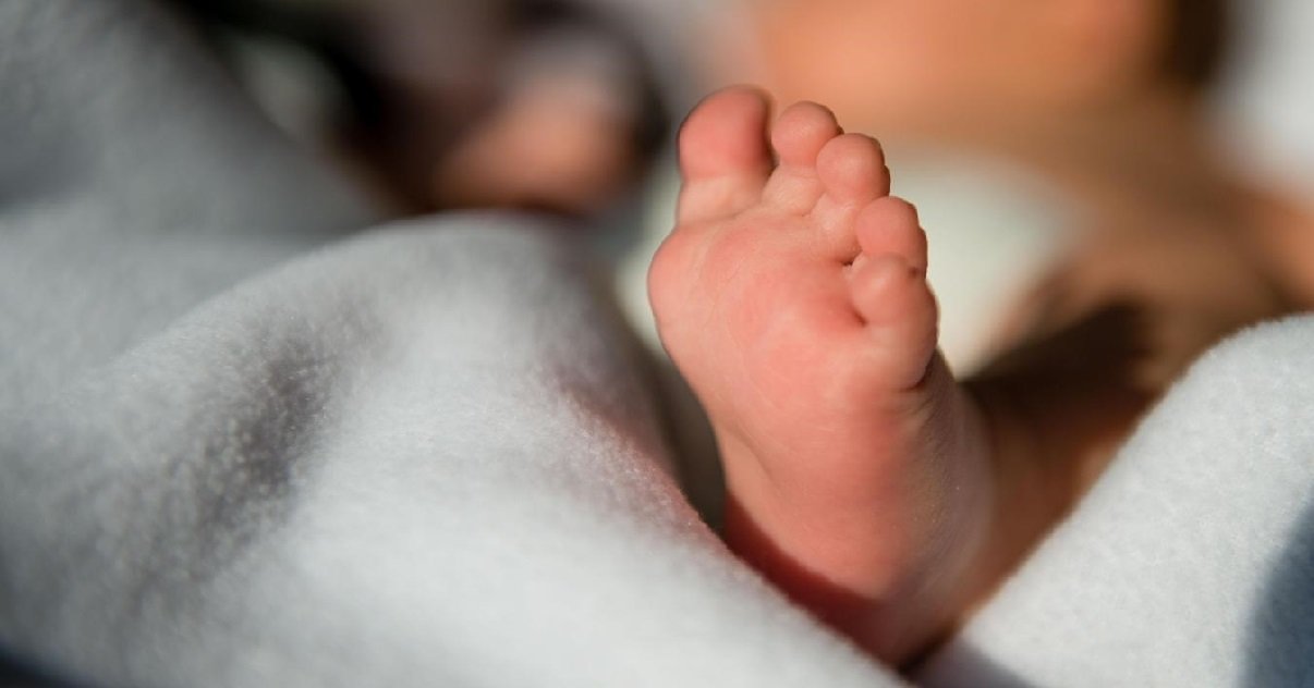 bebe.jpg?resize=1200,630 - Pyrénées-Orientales: un bébé a été retrouvé enfermé dans un carton devant une clinique vétérinaire