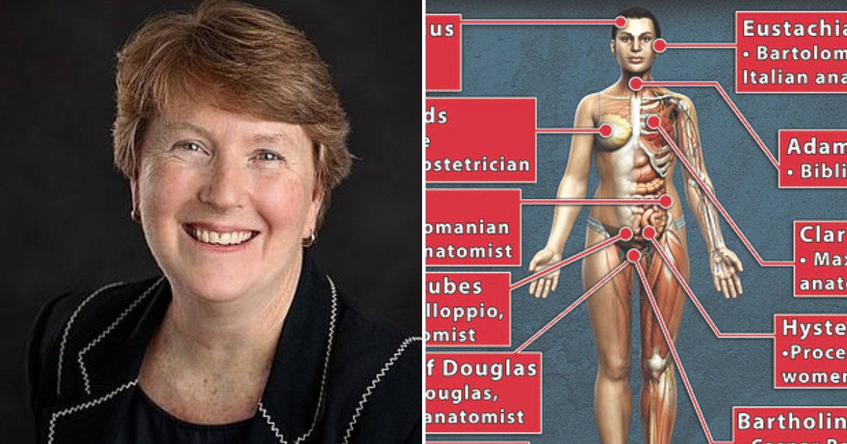 bodyparts5.png?fit=1024%2C538&ssl=1&strip=all - Doctors Want To Rename Body Parts That Are Named After Men Because They Are 'Misogynistic' And 'Irrelevant'