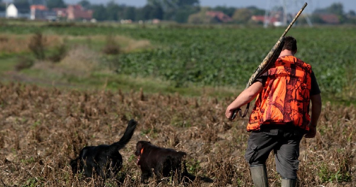 chasse.jpg?resize=412,275 - Les accidents de chasse sont en hausse par rapport à l'année dernière