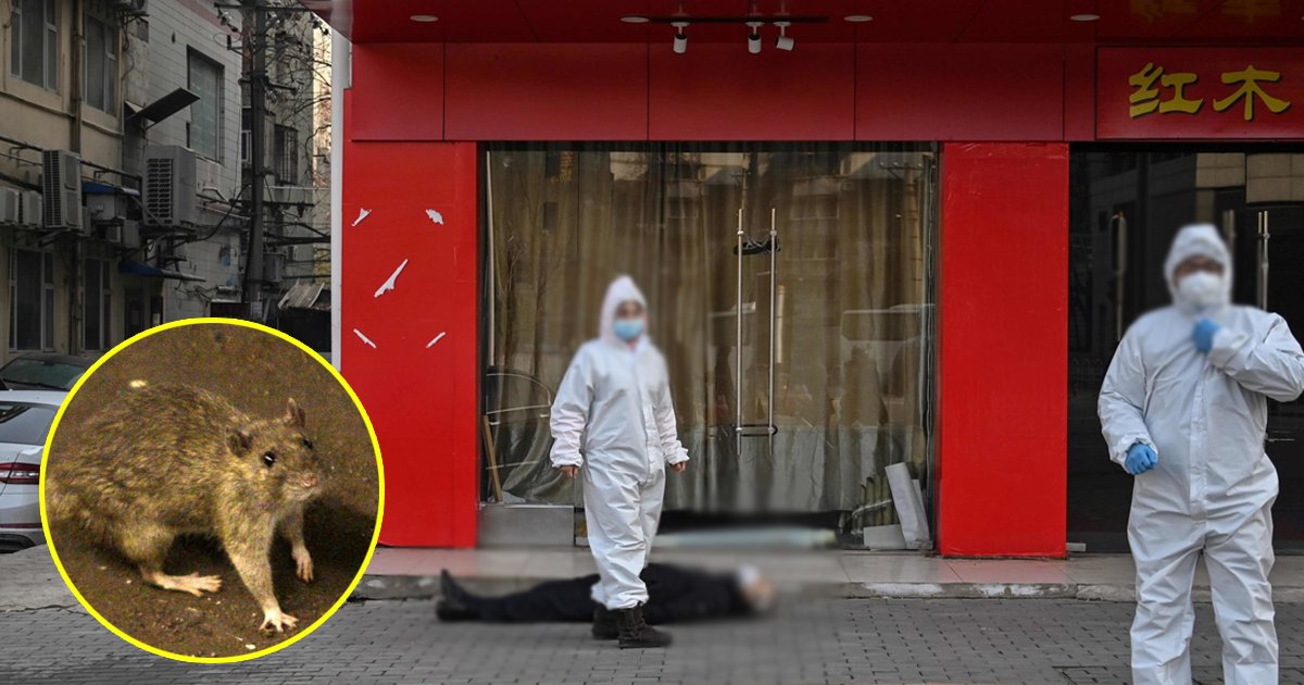 china plague.jpg?resize=1200,630 - China Closes Tourist Spots Amid The First Confirmed Case Of 'Bubonic Plague' In Inner Mongolia