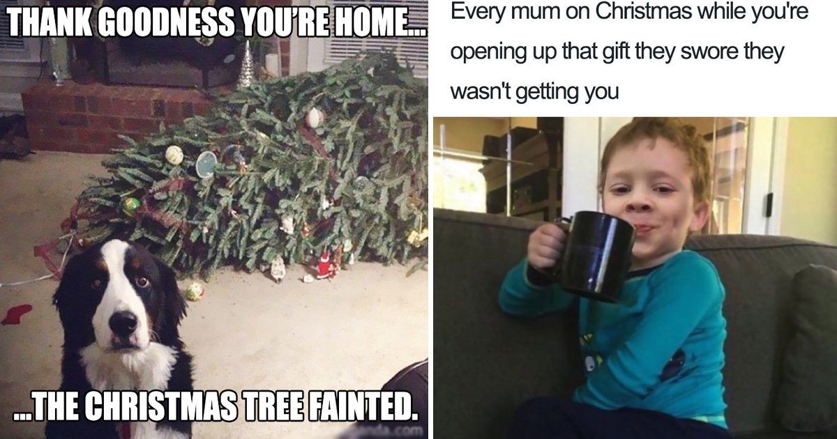 christmas memes.jpg?resize=412,275 - 9 Christmas Funny Memes You Won't Help Yourself Sharing With Family