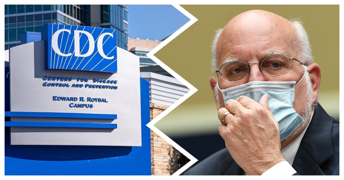 collage2 1.jpg?resize=1200,630 - More Than 1,000 Employees Signed A Letter Denouncing the Systemic Racism Within CDC