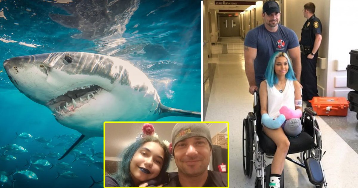 dad punch shark 1.jpg?resize=1200,630 - Shark Attack North Carolina: Brave Dad 'Punches' Shark Who Bit Daughter