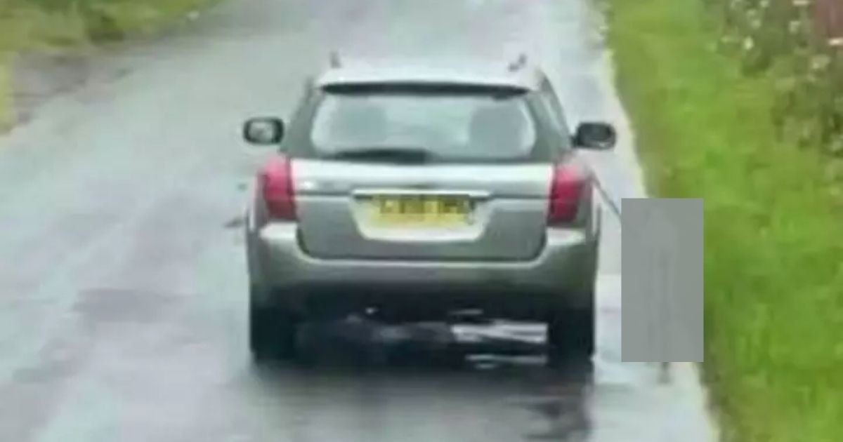 dog4.jpg?resize=1200,630 - Police Are Searching For Dog Owner Who Forced Pet To Run Alongside The Car