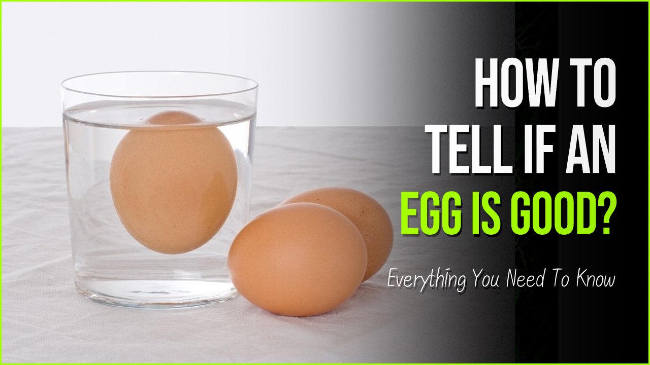 egg is good.jpg?fit=1024%2C576&ssl=1&strip=all - How To Tell If An Egg Is Still Good Before You Eat A Rotten One