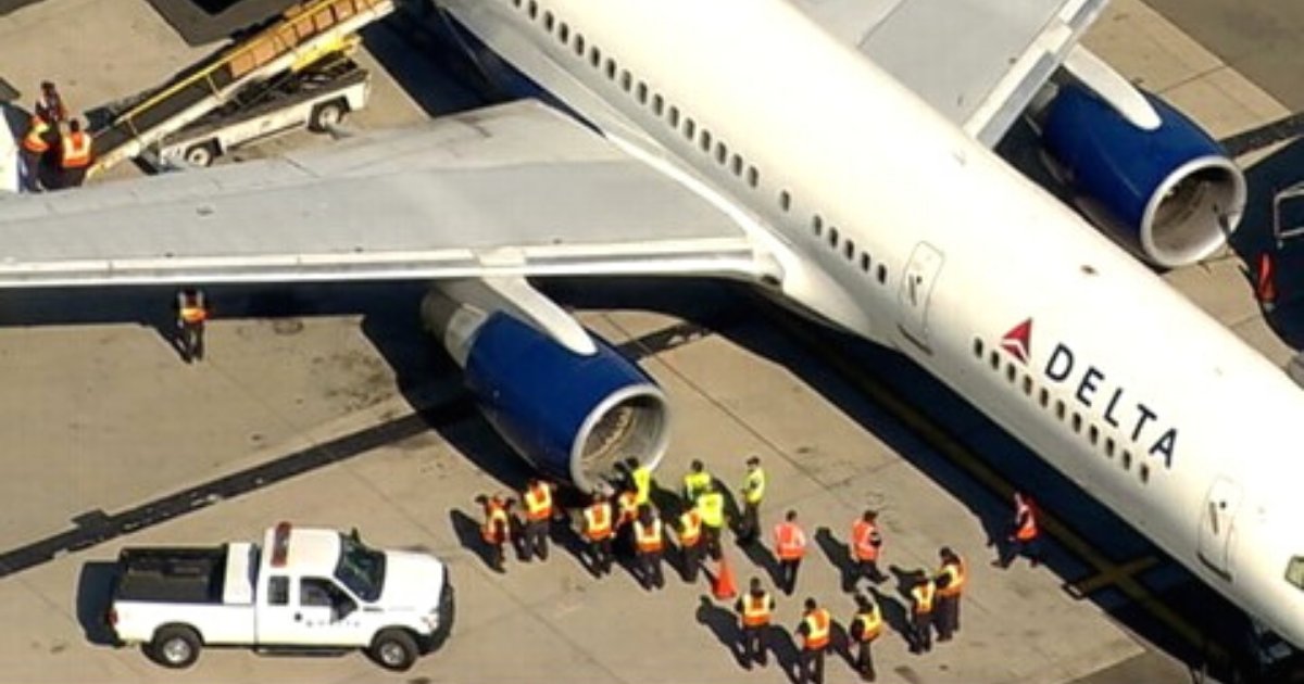 flight3.png?resize=412,275 - Delta Flight Makes Emergency Landing After A Bird Strike Damage The Nose Of The Plane