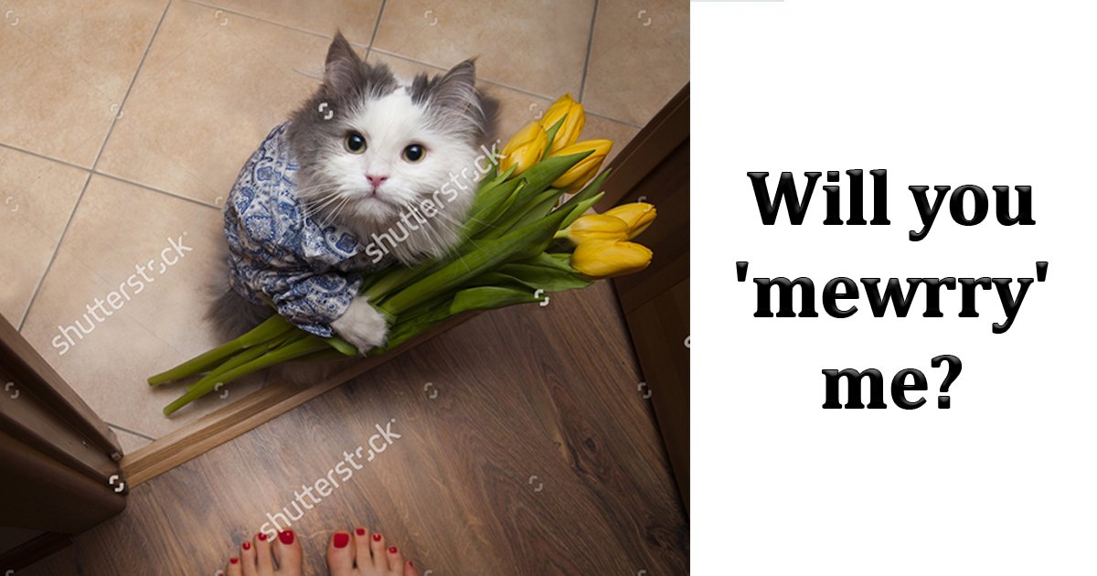 funny stock photos.jpg?fit=1024%2C538&ssl=1&strip=all - 10 Funny Stock Photos That Will Completely Refresh You