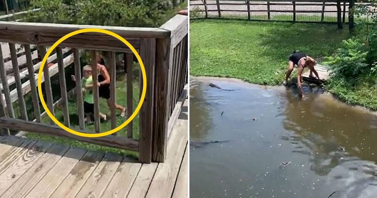 gator5.jpg?fit=1024%2C538&ssl=1&strip=all - Mother Enters Alligator Pit With Her Young Son To Retrieve Her Wallet