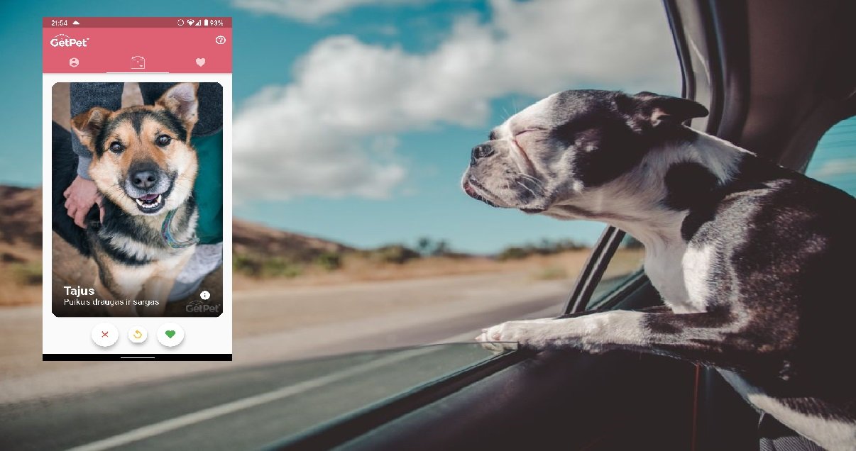 getpet.jpg?resize=412,275 - Découvrez GetPet, le Tinder pour rencontrer et adopter des chiens