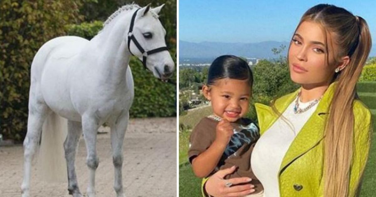 instagram stal wilten kylie jenner pony stormi 1120 e1596048837117.jpg?resize=412,232 - Kylie Jenner a acheté un poney à 200 000 dollars pour sa fille Stormi, âgée de deux ans