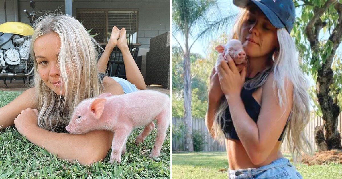 model4.png?resize=1200,630 - 28-Year-Old Model Who Shared Videos Of 'Piglet Rescue' Faces A $6,000 Fine