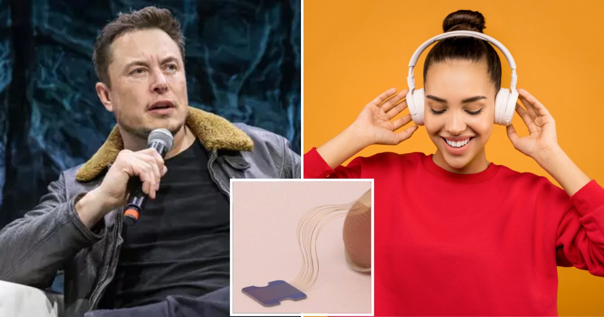 musk5.png?resize=412,275 - Neuralink Brain Chip Will Allow You To Stream Music Directly To Your Brain, Elon Musk Claims