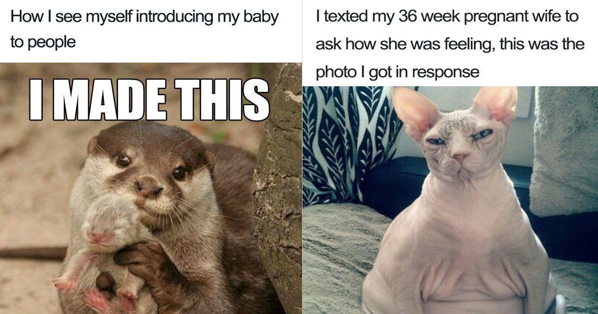 pregnancy memes.jpg?resize=412,275 - 10 Hilarious Pregnancy Memes You'd Laugh Your Head Off