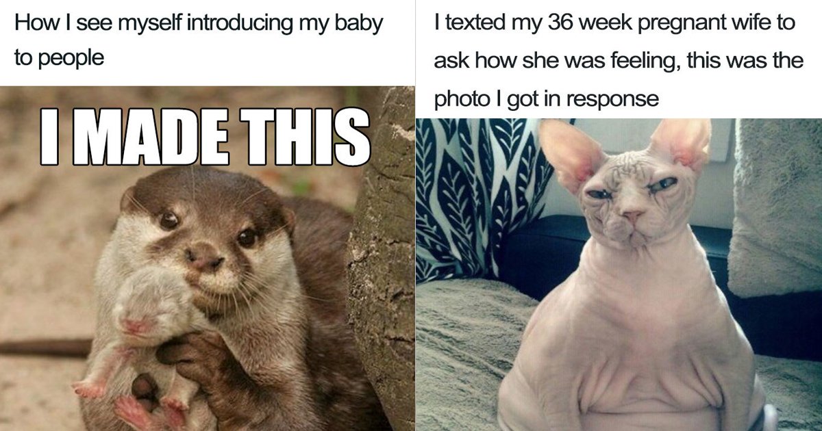 pregnancy memes.jpg?fit=1024%2C538&ssl=1&strip=all - 10 Hilarious Pregnancy Memes You'd Laugh Your Head Off