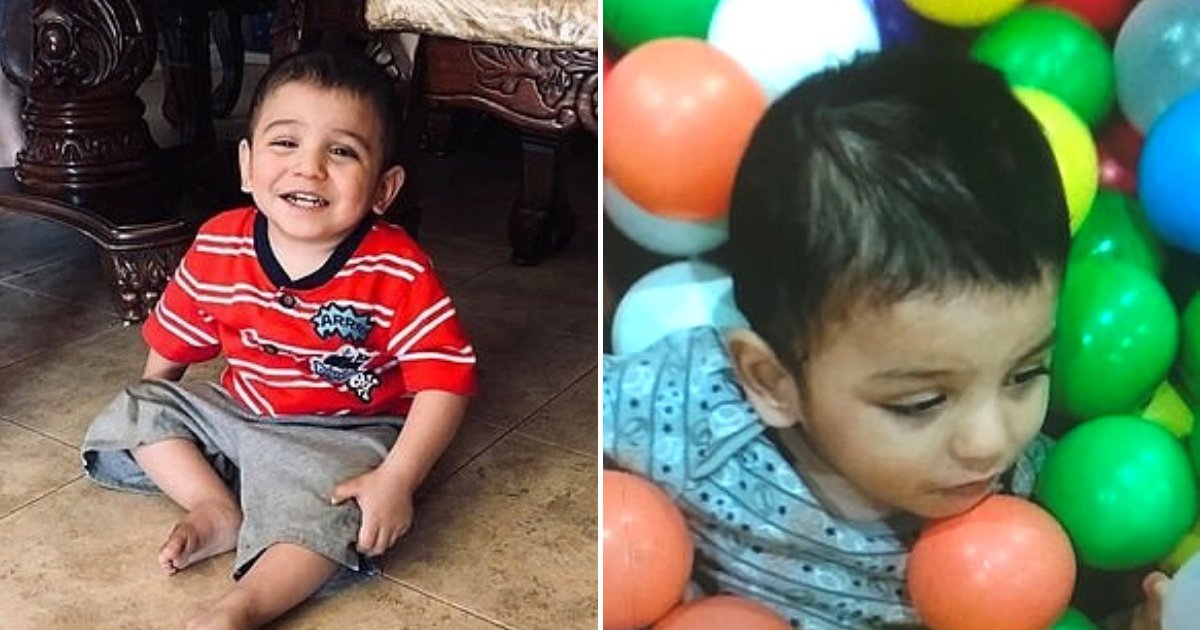 thaddeus6.png?resize=412,275 - Desperate Search For 2-Year-Old Boy With Special Needs Who Went Missing From Family's Home