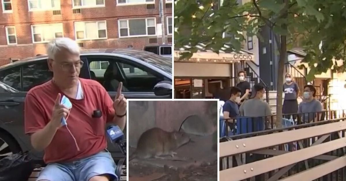 untitled design 3 7.jpg?resize=412,275 - New York Diners Facing Rat 'Attacks' As Restaurants Beg The City To Solve Infestation Problems