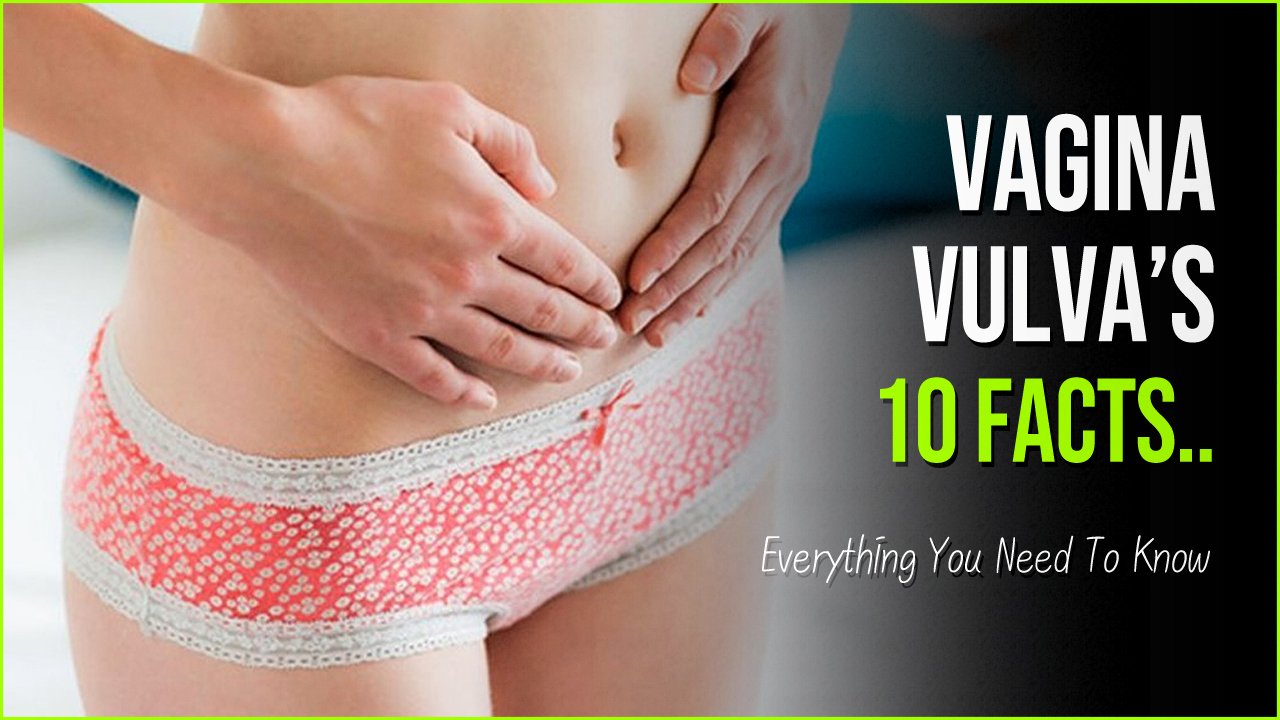 vagina vulva facts.jpg?resize=412,275 - Health Alert | 10 Vagina Vulva Facts That Are Definitely Worth A Share