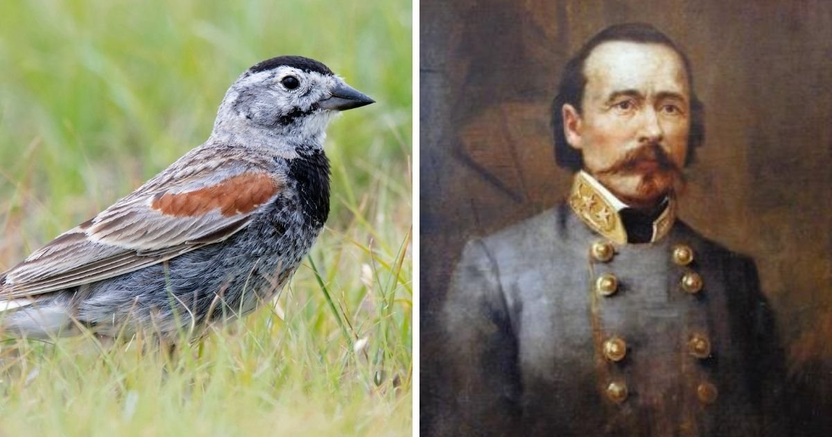 1 117.jpg?resize=412,232 - A Bird Named After a Confederate General Has a New Identity