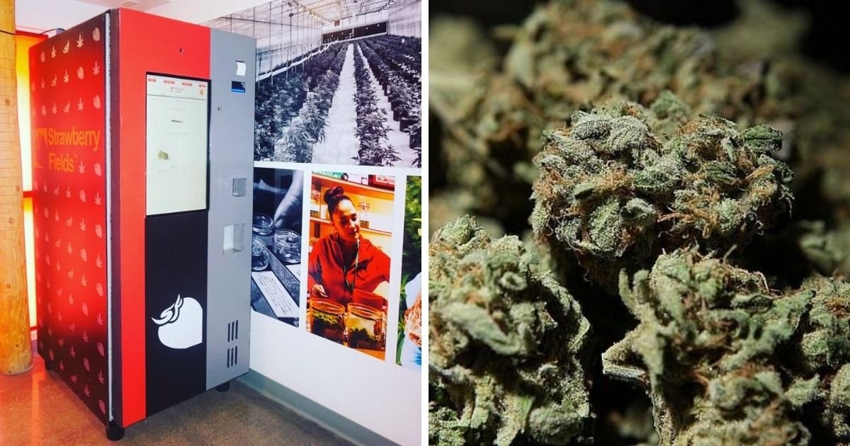 1 162.jpg?resize=412,232 - Cannabis Vending Machines Are Coming To The US Next Month