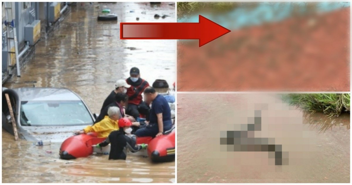 2.jpeg?resize=412,275 - "여기 산책로인데 이게 뭐야..?"... 폭우로 난리난 대전,  두 눈을 의심케 하는 '충격적인' 모습들.jpg