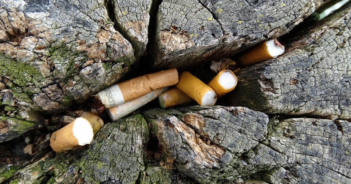 22408966 25126523 e1597185907693.jpg?resize=1200,630 - Pollution : Les mégots de cigarettes finissent encore trop souvent par terre