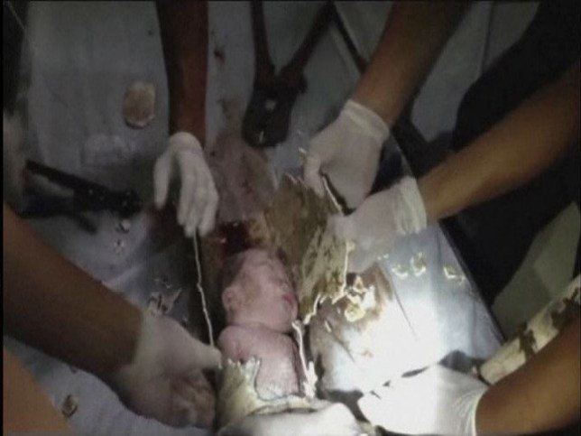 Newborn baby rescued from sewage pipe in China | Metro News
