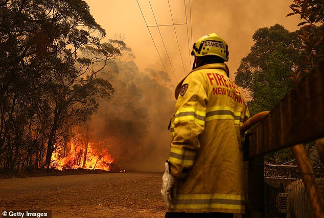 NSW RFS firefighters could be deployed to the US for the first time. Pictured is a firefighter battling an out of control blaze west of Sydney last December